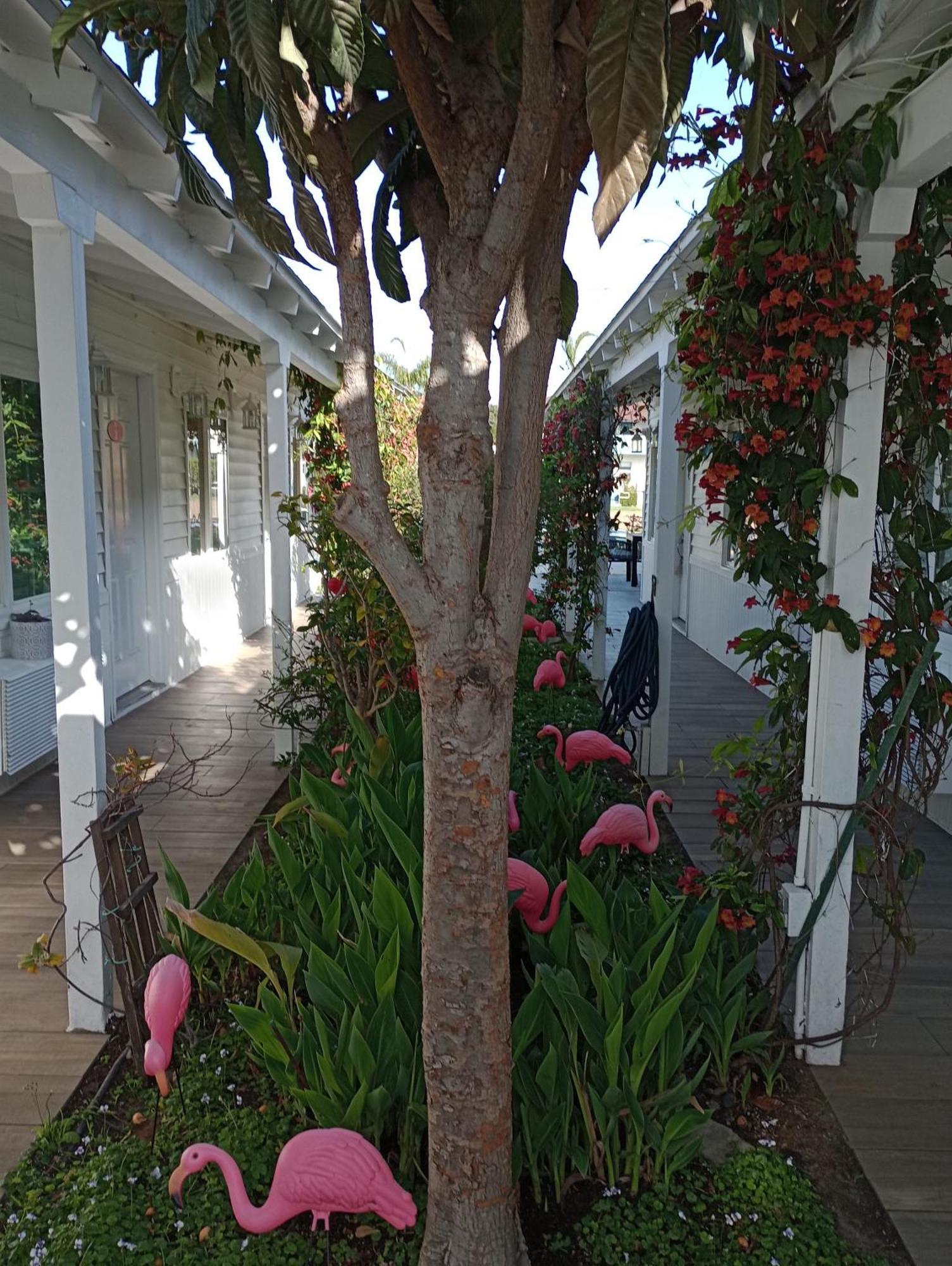El Rancho Motel Coronado Εξωτερικό φωτογραφία